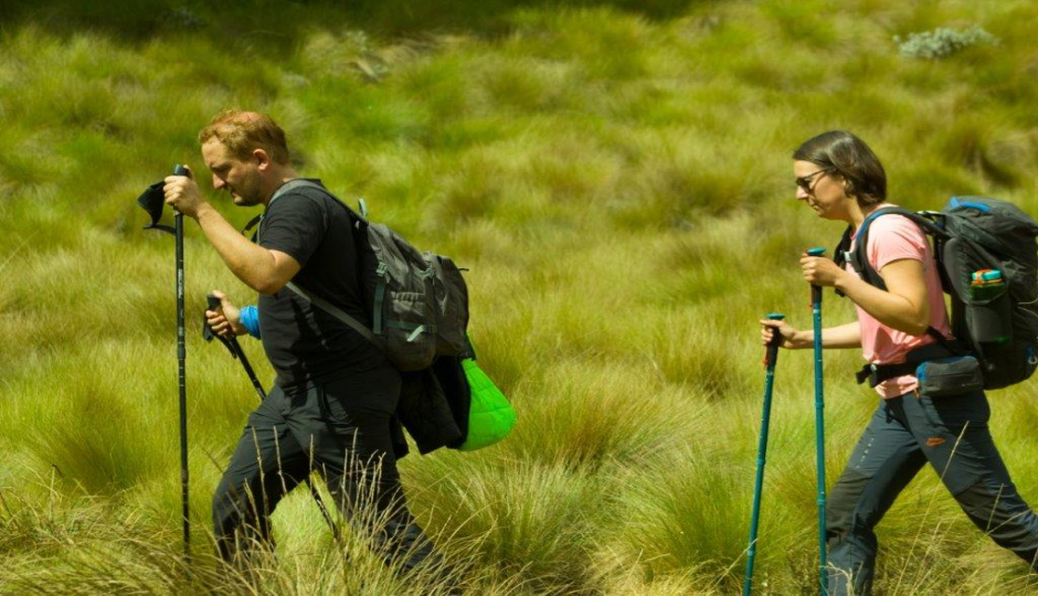 Mount Kilimanjaro Day Tour