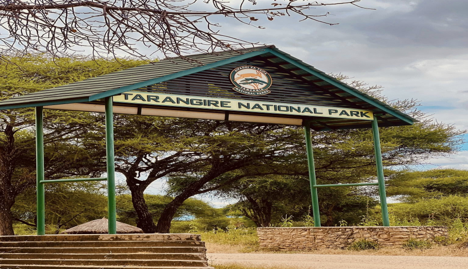 Slides Images for  Incredible Private Tanzania Safari