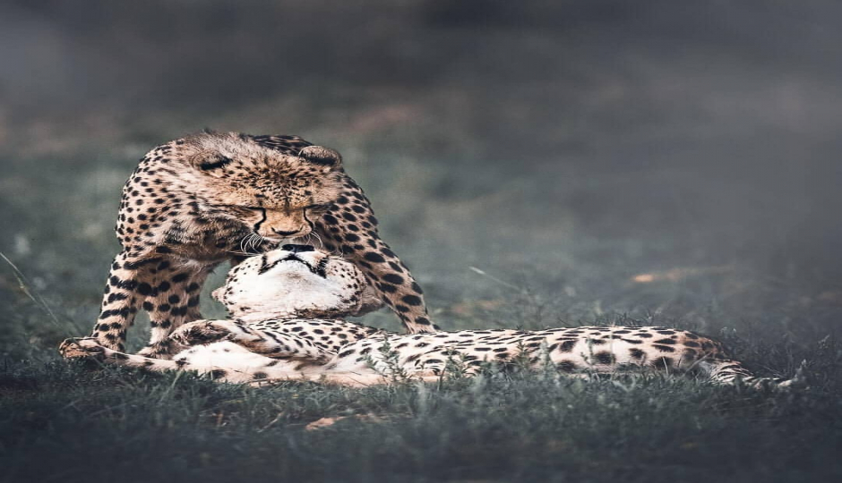 4 Day : Nyerere National Park And Mikumi National Park