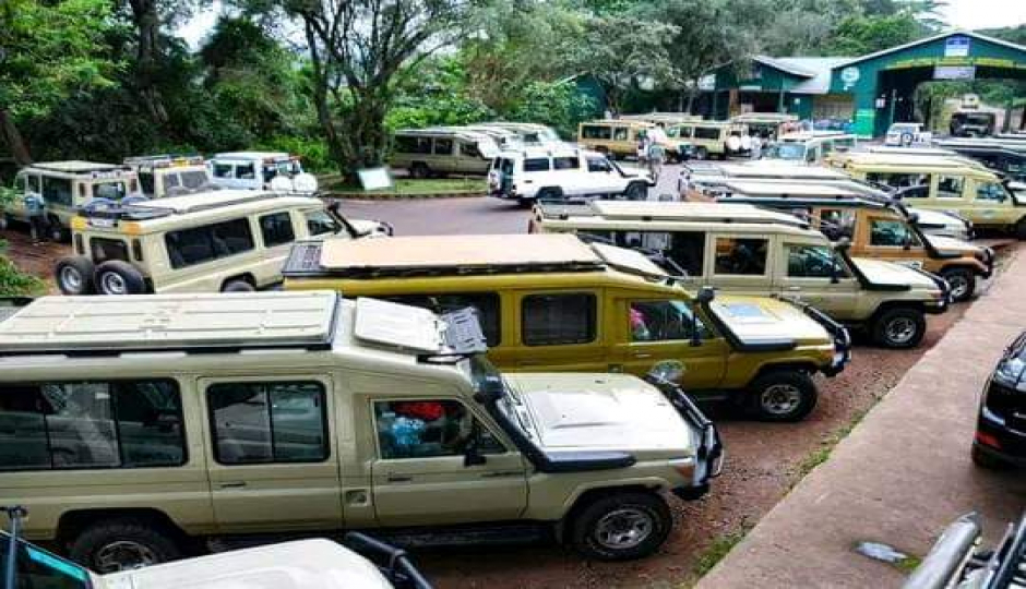 Slides Images for A Taste Of The Savanna Safari