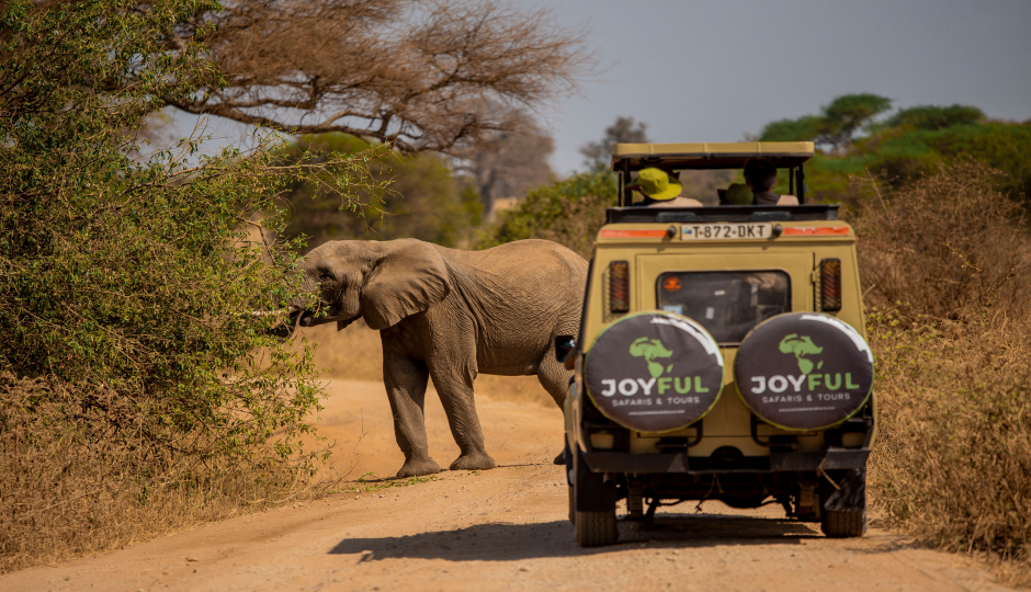 Tanzania Safaris, Waterfalls And Coffee Tour