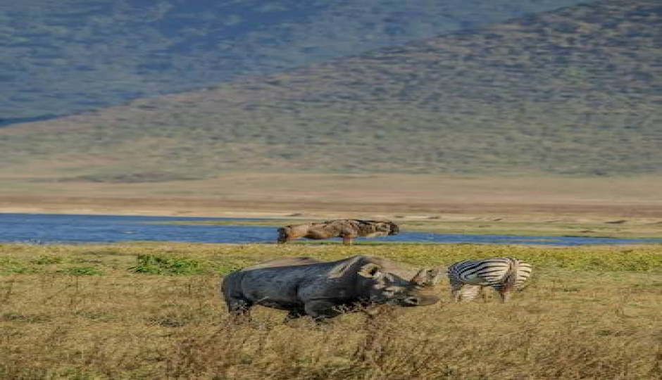 Slides Images for Ultimate Tanzania Safari Experience