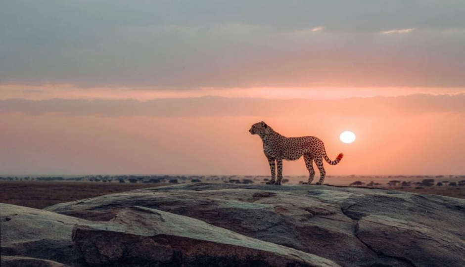 Slides Images for 3 Days Safari- Tarangire Manyara & Ngorongoro