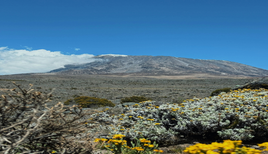 Slides Images for Mount Kilimanjaro Trek Via Northern Circuit