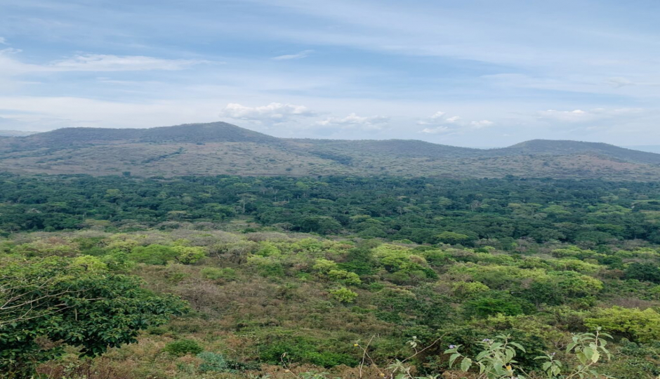Slides Images for Ethiopia Wildlife Safari | Chebera Churchura Tour