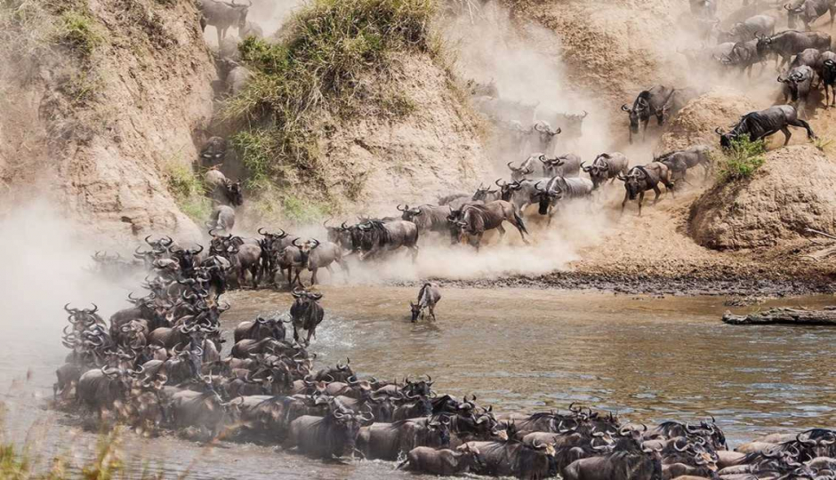9 Days Serengeti Wildebeest Migration Safari Itinerary