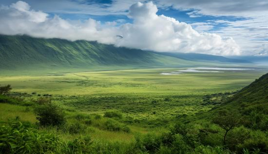 Gardenia African Safaris