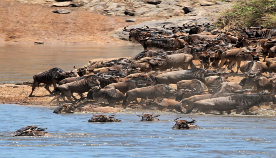 4- Day Fly-in Safari From Zanzibar.