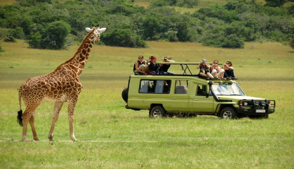 4 Days Fly In Safari From Zanzibar