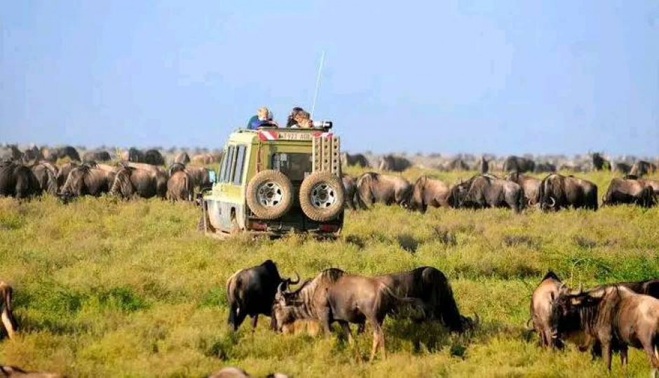 Discover Kenya’s Wildlife – 6-Day Safari Adventure