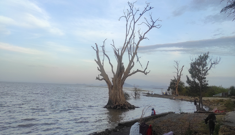 Slides Images for Ethiopia Rift Valley Lakes Wildlife Nature Escape