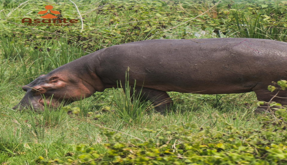 Slides Images for 2 Days Tarangire & Ngorongoro Crater Safari Adventure