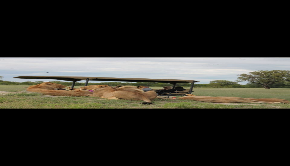 Slides Images for Vic Falls To Chobe Day Trips 