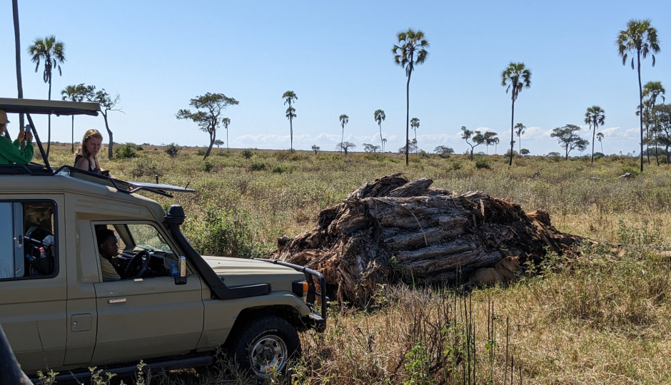 Slides Images for 4-Day Serengeti, Ngorongoro Crater And Tarangire Fly-in