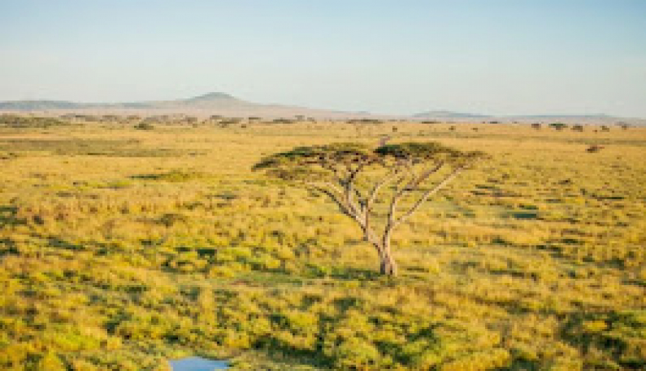 Lake Manyara National Park Day Trip