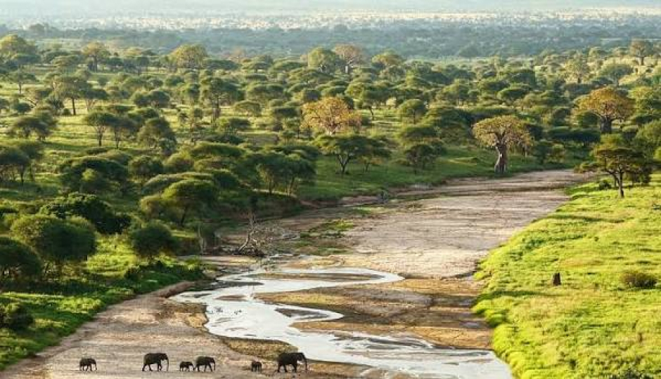 Slides Images for Tarangire, Lake Manyara And Ngorongoro Crater