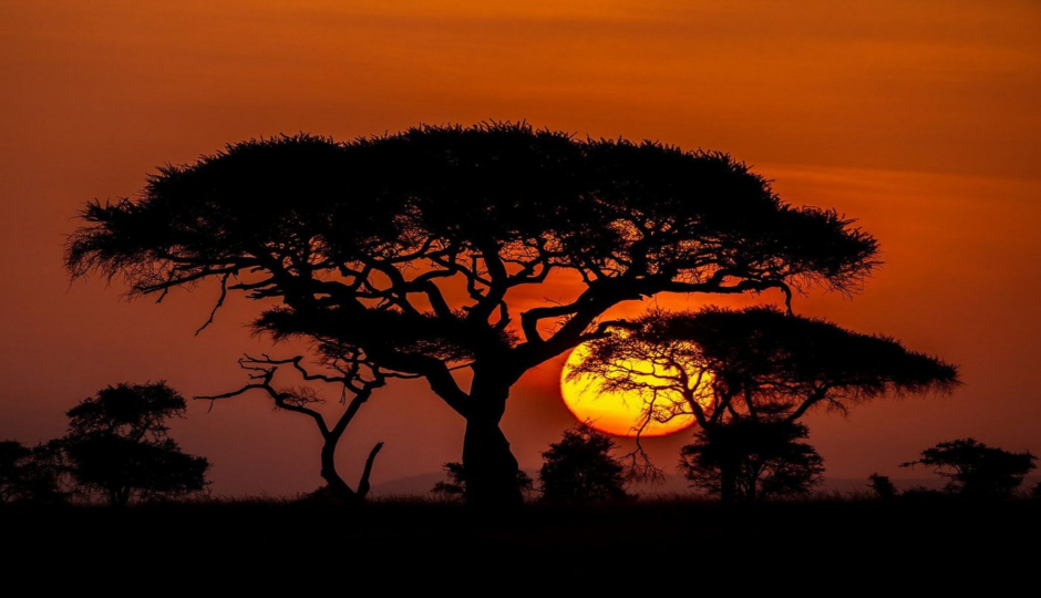 Slides Images for Scenic Serengeti Package