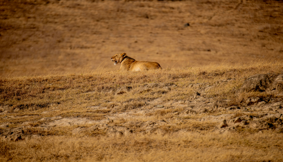 Spirit&soul Of Africa (tanzania/kenya) - Mid-range
