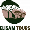 Logo Image - Elisam Tours