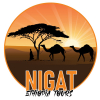 Logo image - Nigatethiopiatours