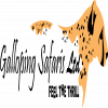 Logo image - Galloping Safaris Ltd