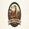 Find Ethiopia Tours Logo