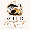 Logo Image - Wild Symphony Africa